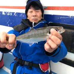 ヤザワ渡船 釣果