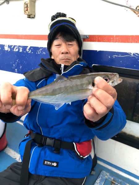 ヤザワ渡船 釣果