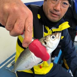 ヤザワ渡船 釣果