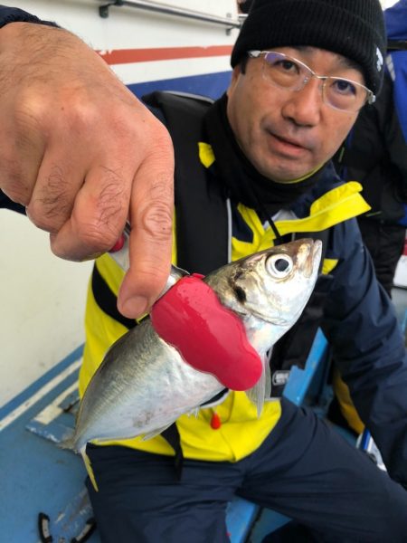 ヤザワ渡船 釣果