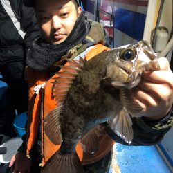 ヤザワ渡船 釣果