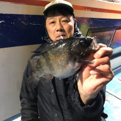 ヤザワ渡船 釣果