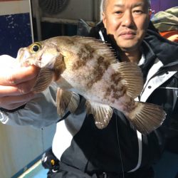ヤザワ渡船 釣果