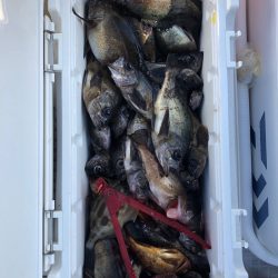 フィッシング キッタカ 釣果