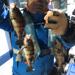 ヤザワ渡船 釣果