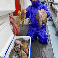 シーランチ 釣果