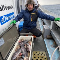 シーランチ 釣果