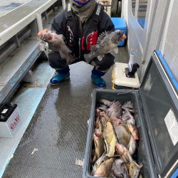 シーランチ 釣果