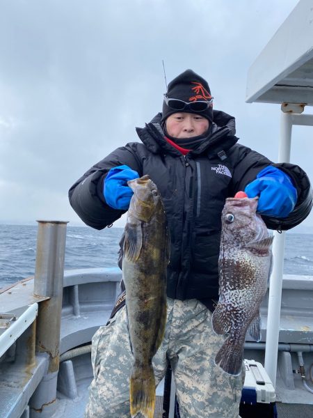 シーランチ 釣果
