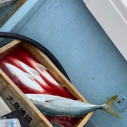 あみや渡船 JIGBOY 釣果