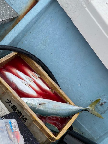 あみや渡船 JIGBOY 釣果