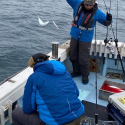 あみや渡船 JIGBOY 釣果