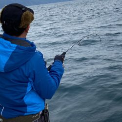 あみや渡船 JIGBOY 釣果