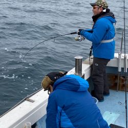 あみや渡船 JIGBOY 釣果