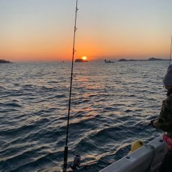 ランスルー 釣果