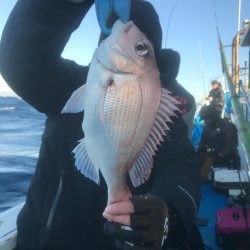 太平丸 釣果
