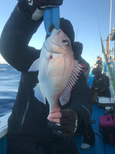 太平丸 釣果