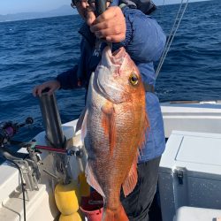 釣鯛洋 釣果