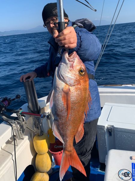 釣鯛洋 釣果