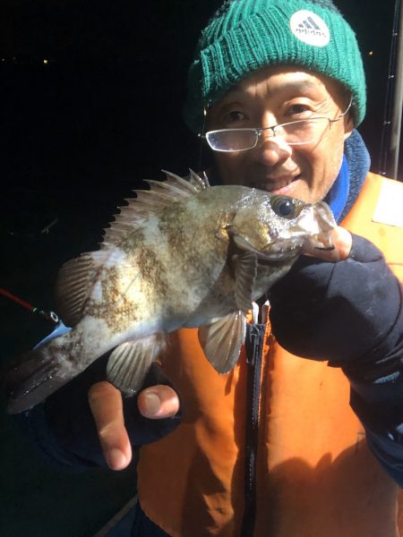 ヤザワ渡船 釣果
