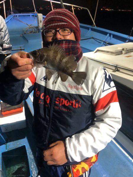 ヤザワ渡船 釣果