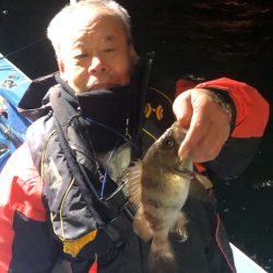 ヤザワ渡船 釣果