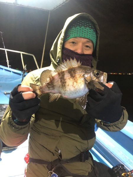 ヤザワ渡船 釣果