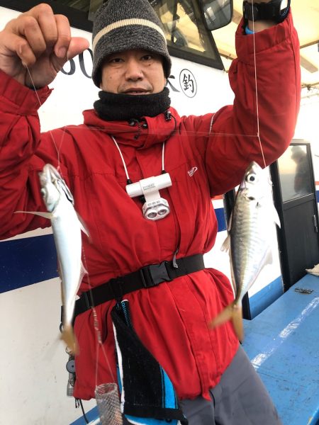 ヤザワ渡船 釣果