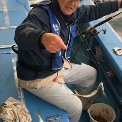 ヤザワ渡船 釣果