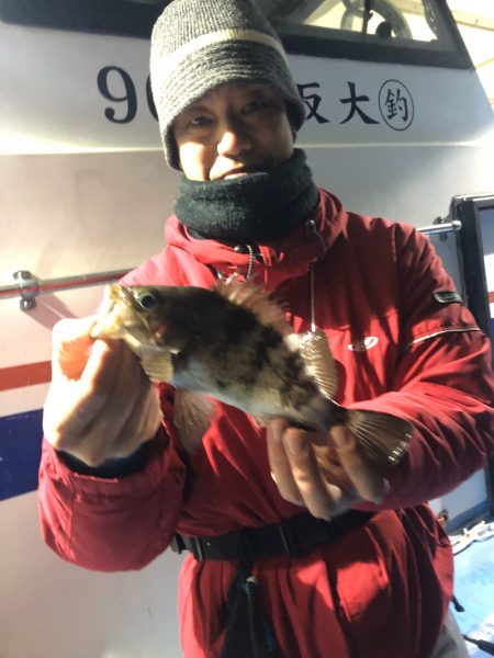 ヤザワ渡船 釣果