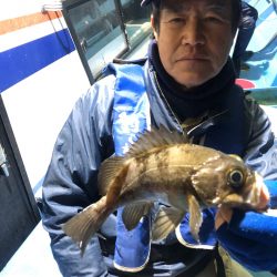 ヤザワ渡船 釣果
