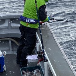 シーランチ 釣果