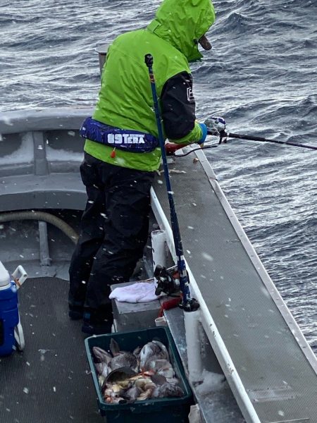 シーランチ 釣果