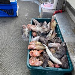 シーランチ 釣果