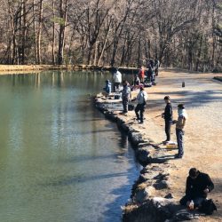 白州トラウトフィッシングエリア シルフ 釣果