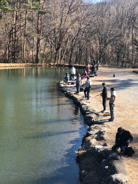 白州トラウトフィッシングエリア シルフ 釣果