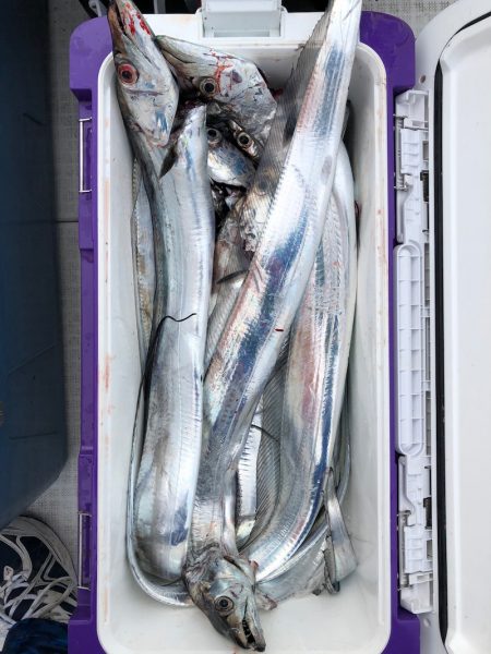 フィッシング キッタカ 釣果