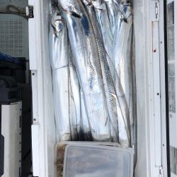 フィッシング キッタカ 釣果