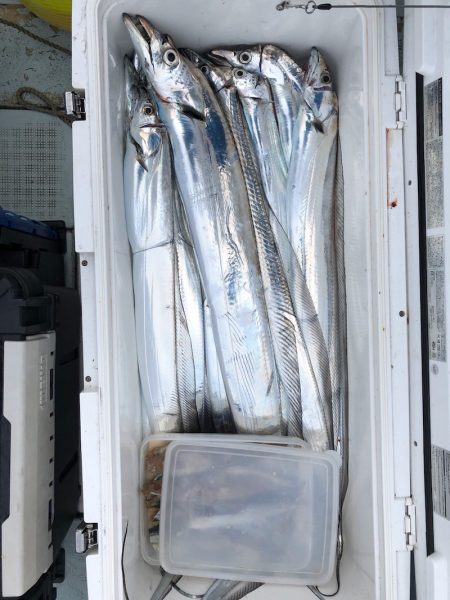 フィッシング キッタカ 釣果