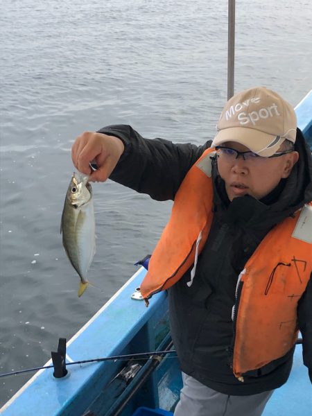 ヤザワ渡船 釣果