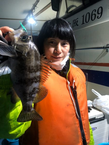 ヤザワ渡船 釣果
