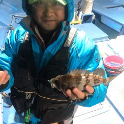 ヤザワ渡船 釣果