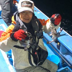 ヤザワ渡船 釣果