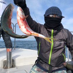 ビッグファイター 釣果