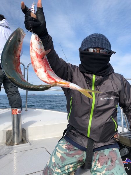 ビッグファイター 釣果