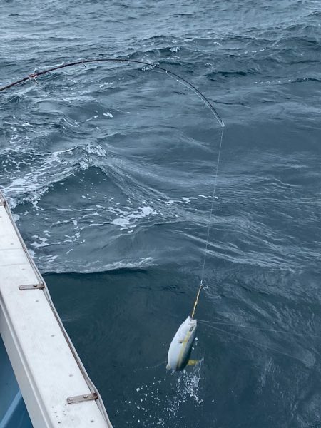 あみや渡船 JIGBOY 釣果