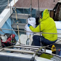 あみや渡船 JIGBOY 釣果