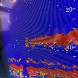 あみや渡船 JIGBOY 釣果