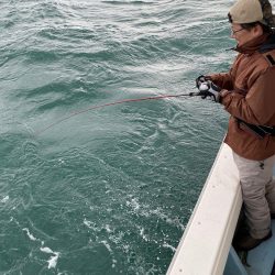 あみや渡船 JIGBOY 釣果