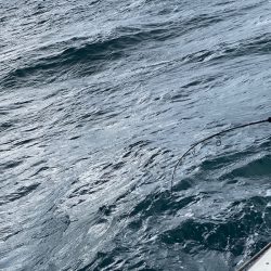 あみや渡船 JIGBOY 釣果